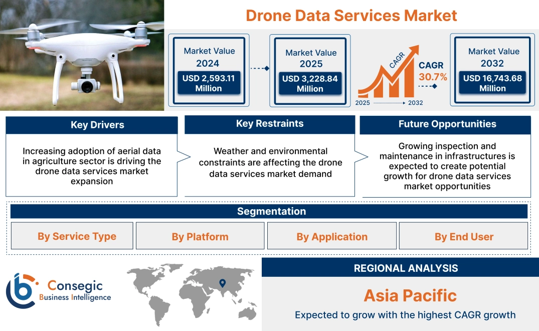 Drone Data Services Market