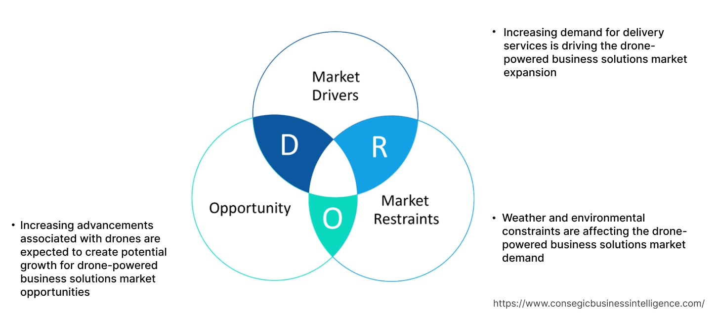 Drone-Powered Business Solutions Market Dynamics