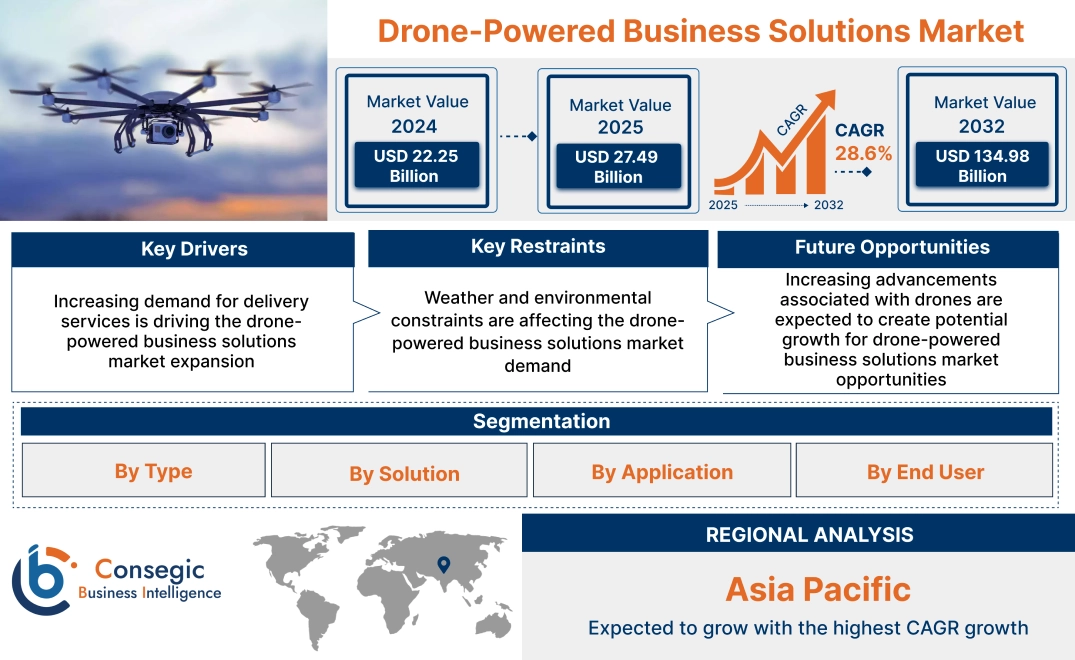 Drone-Powered Business Solutions Market