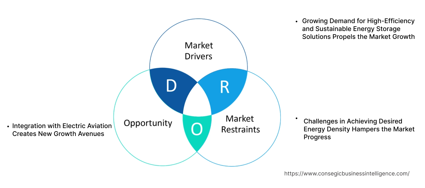 Dual Carbon Battery Market Dynamics