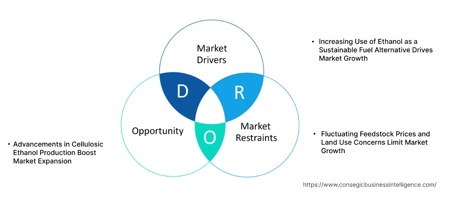 Ethanol Market Dynamics