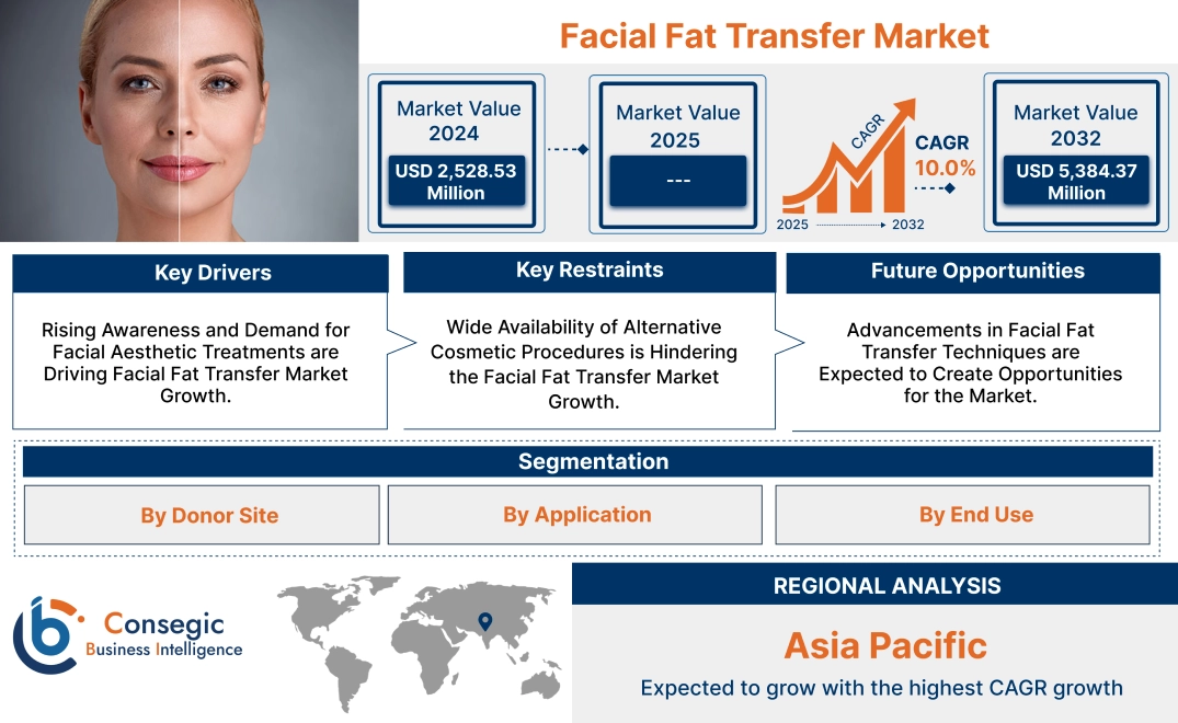 Facial Fat Transfer Market