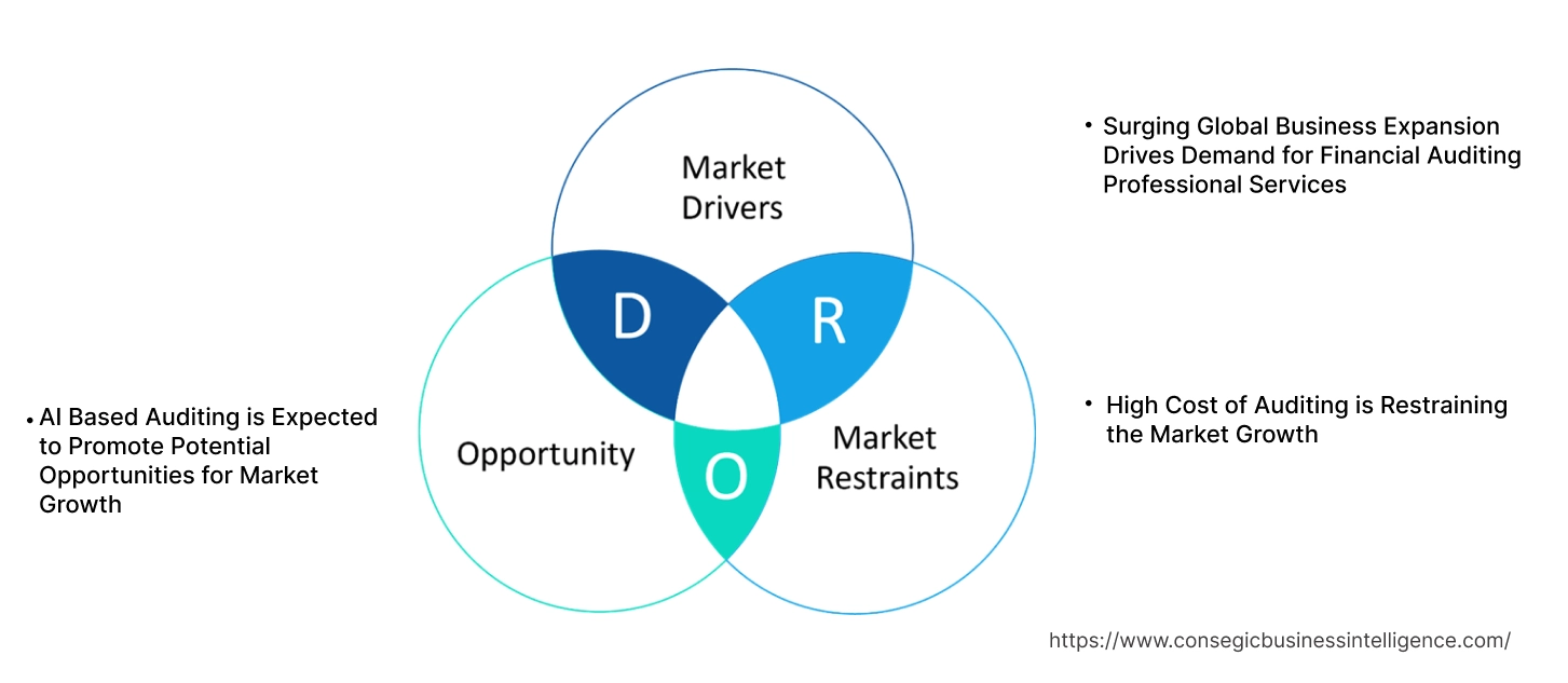 Financial Auditing Professional Services Market Dynamics