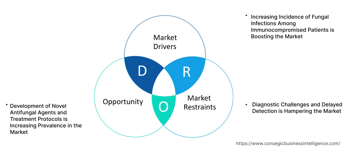 Fungal Endocarditis Market Dynamics