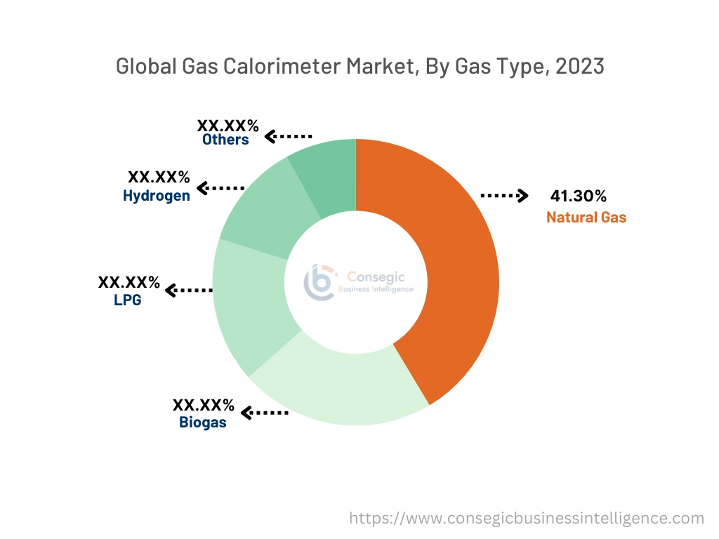 Gas Calorimeter Market By Type