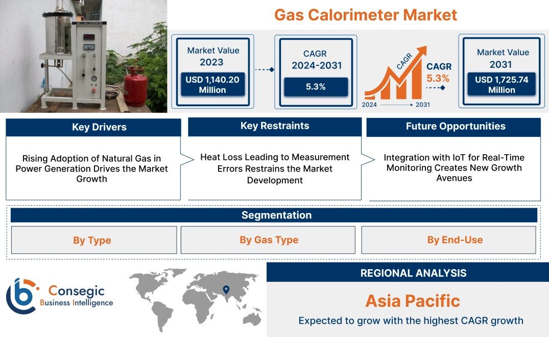 Gas Calorimeter Market