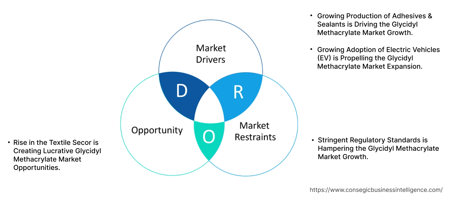 Glycidyl Methacrylate Market Dynamics