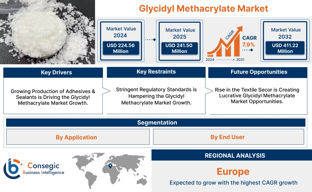 Glycidyl Methacrylate Market