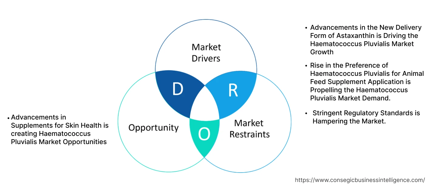 Haematococcus Pluvialis Market Dynamics