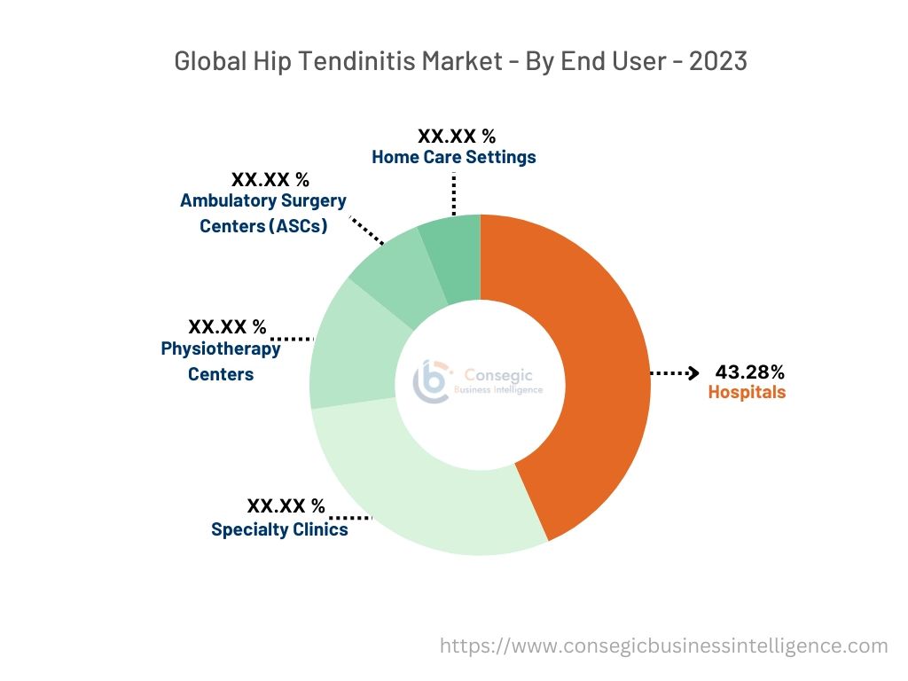 Hip Tendinitis Market By End User