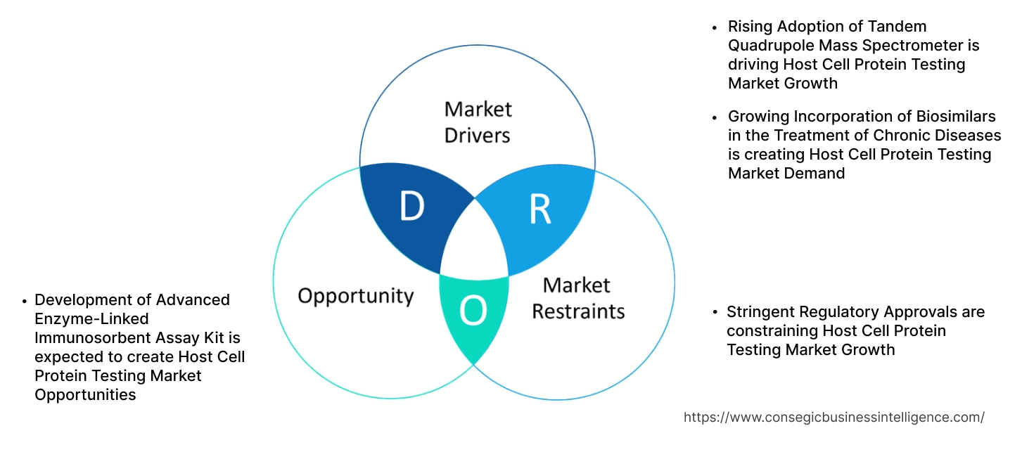 Host Cell Protein Testing Market Dynamics