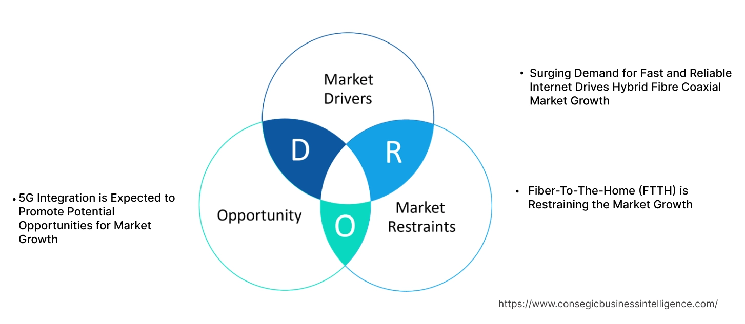 Hybrid Fibre Coaxial Market Dynamics