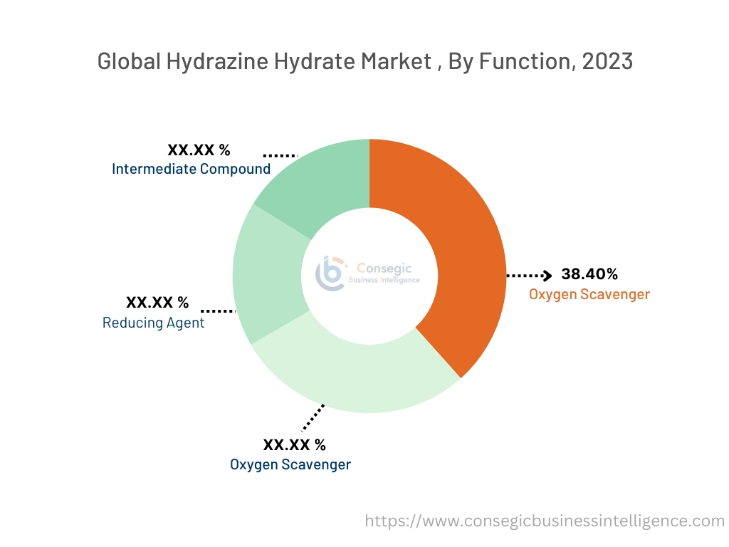 Hydrazine Hydrate Market By Function