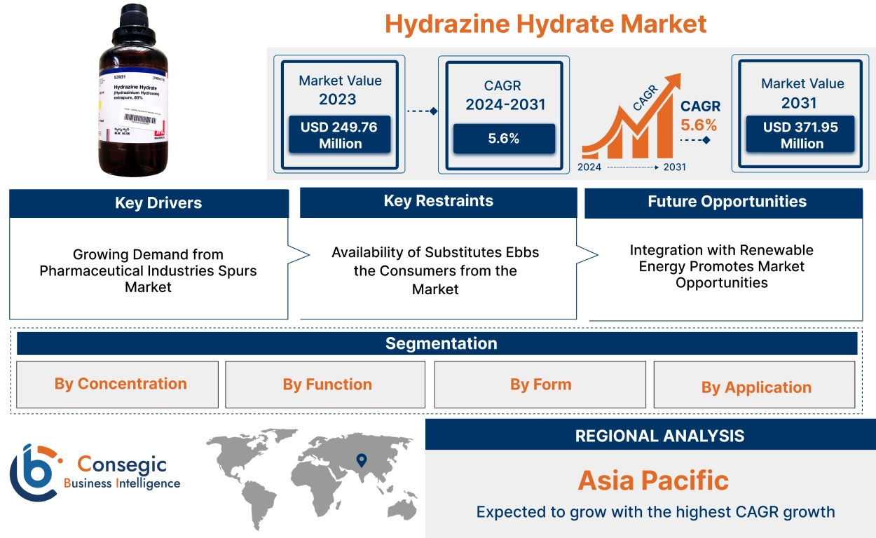 Hydrazine Hydrate Market