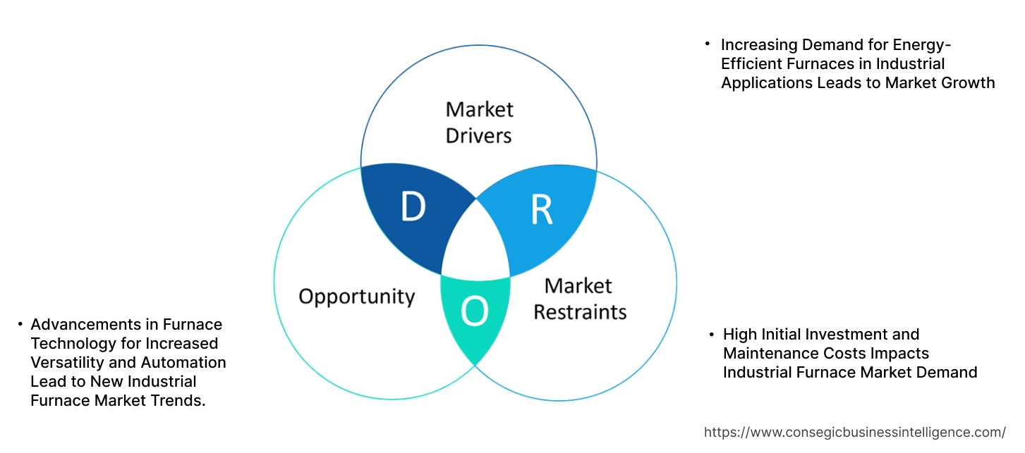 Industrial Furnace Market Dynamics