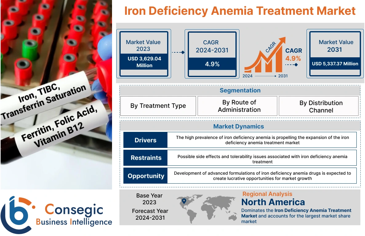 Iron Deficiency Anemia Treatment Market 