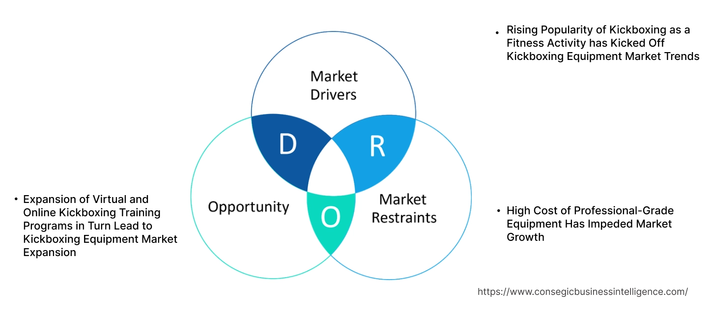 Kickboxing Equipment Market Dynamics