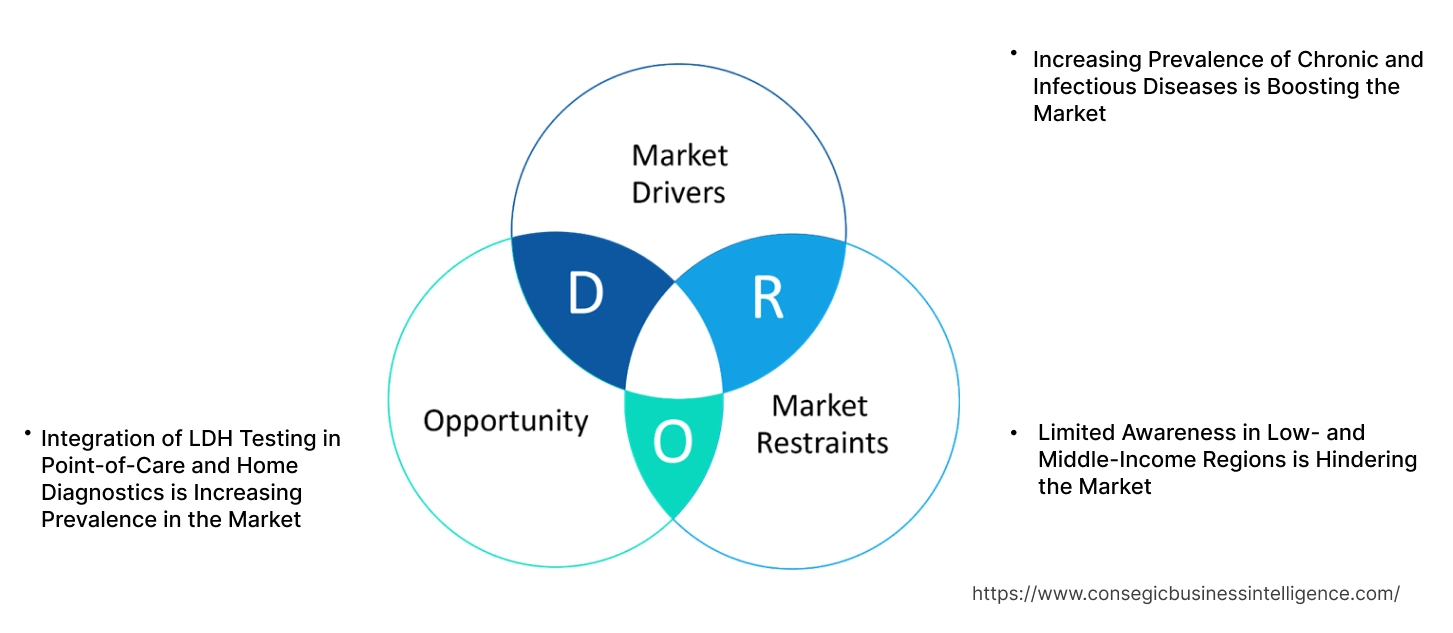 Lactate Dehydrogenase Test Market Dynamics