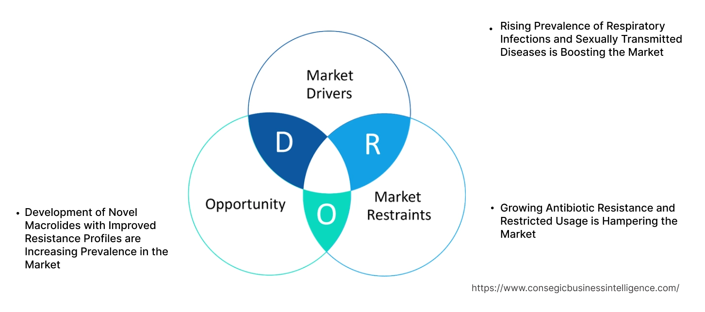 Macrolide Antibiotics Market Dynamics