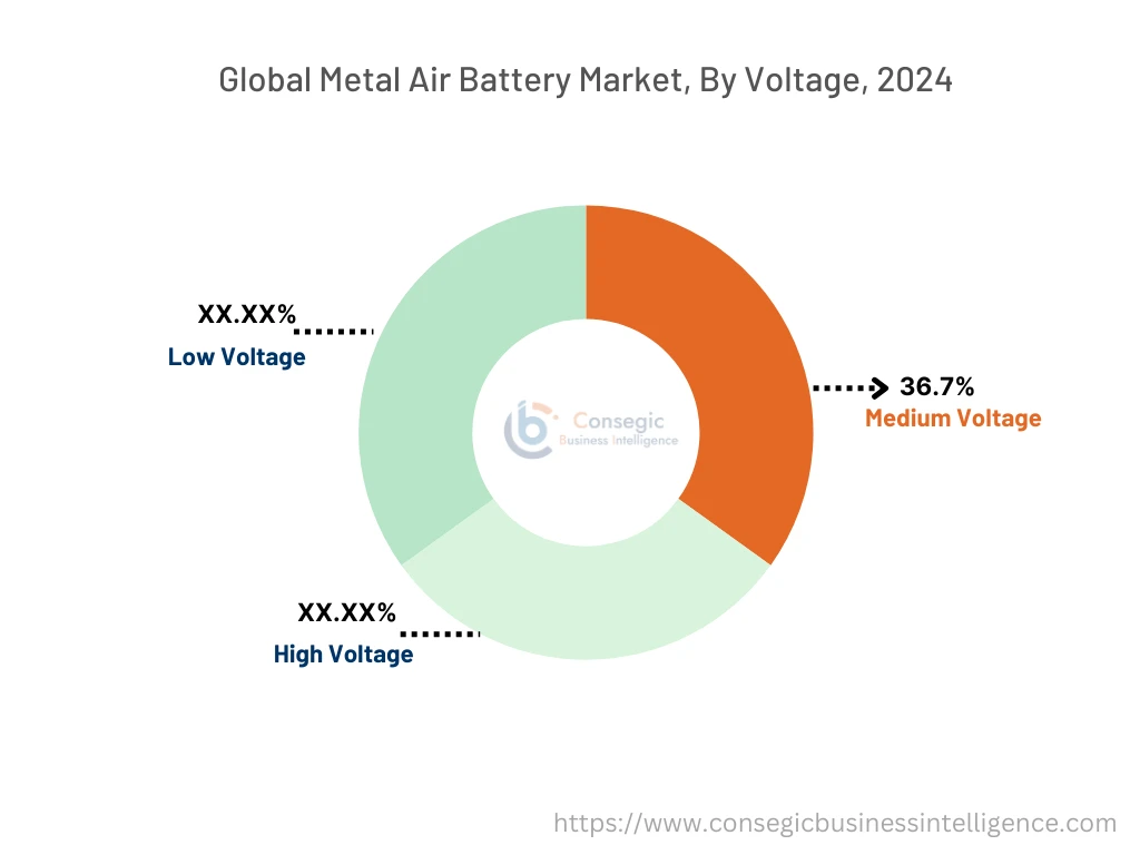 Metal Air Battery Market By Segment