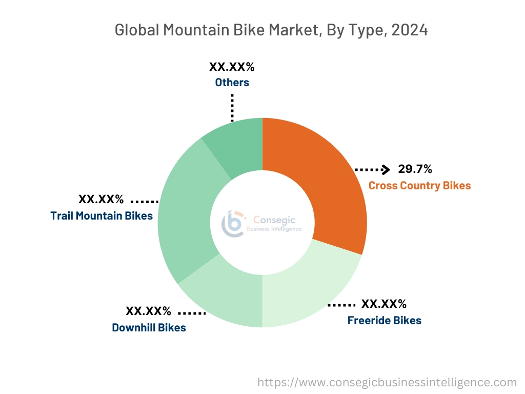 Mountain Bike Market By Type