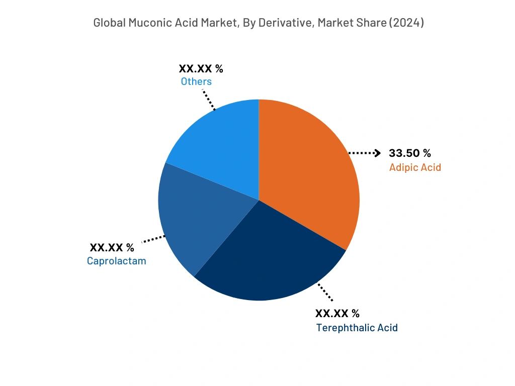 Global Muconic Acid Market , By Derivative, 2024