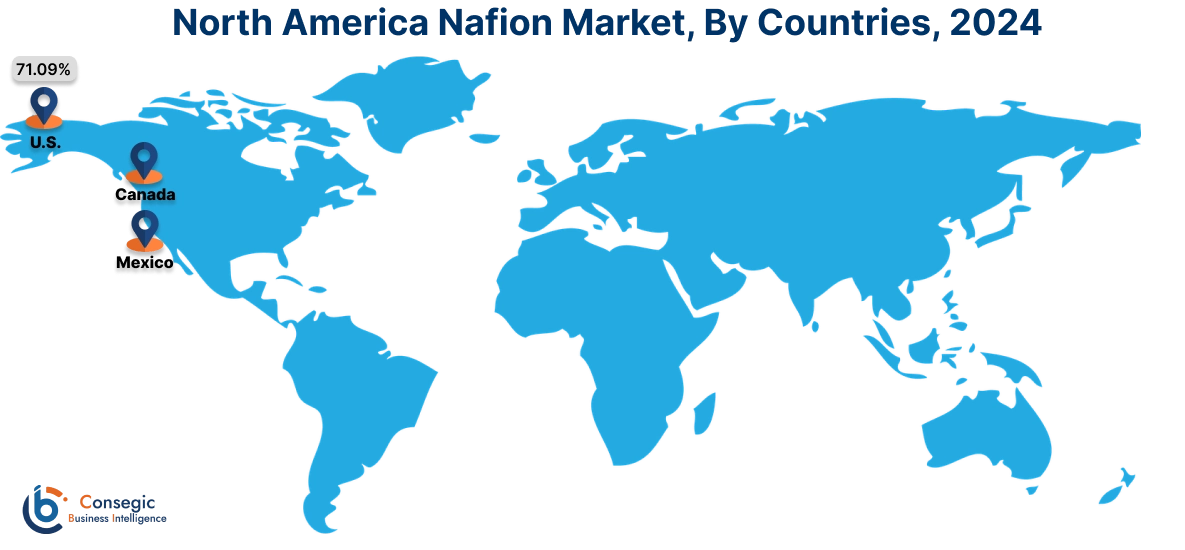 Nafion Market By Country