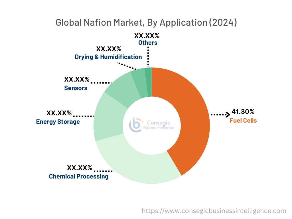 Nafion Market By Application