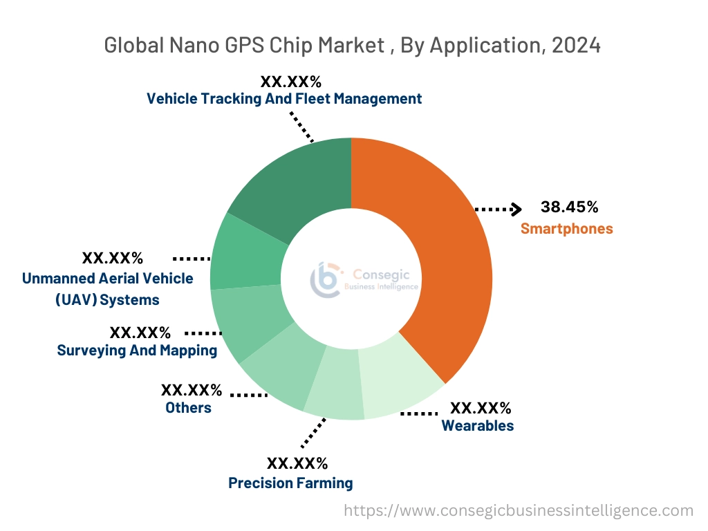 Nano GPS Chip Market By Type