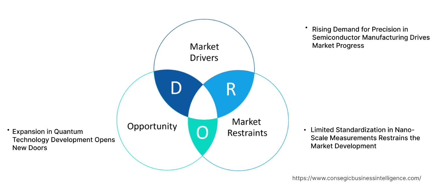 Nano Metrology Market Dynamics