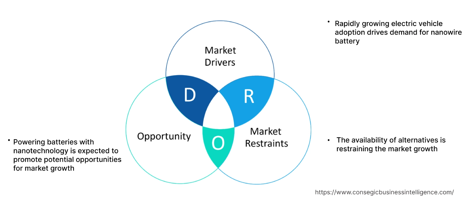 Nanowire Battery Market Dynamics