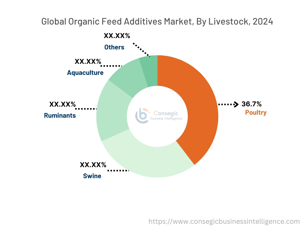 Organic Feed Additives Market By Segment