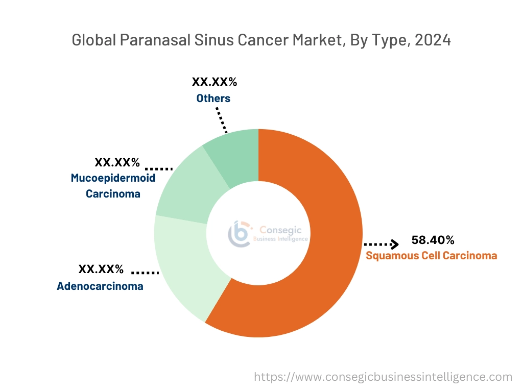 Paranasal Sinus Cancer Market By Type