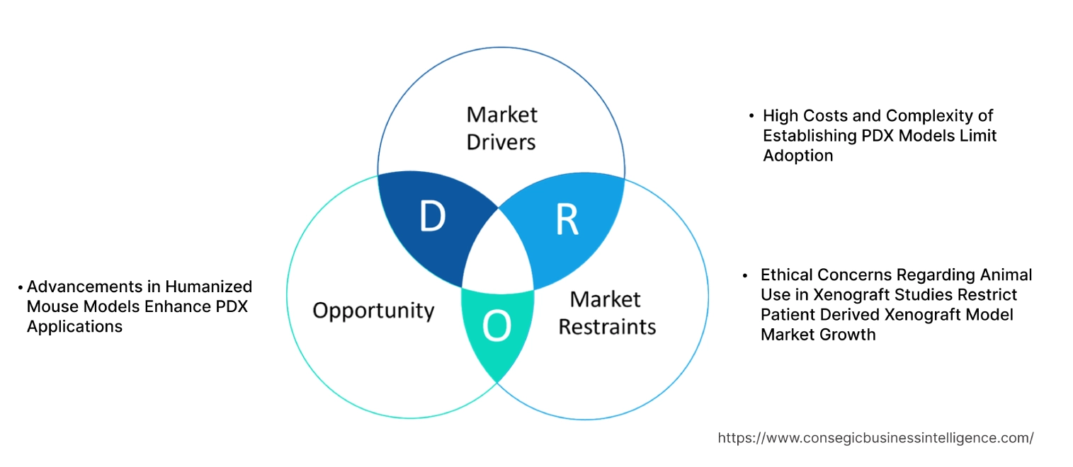 Patient Derived Xenograft Model Market
        Dynamics