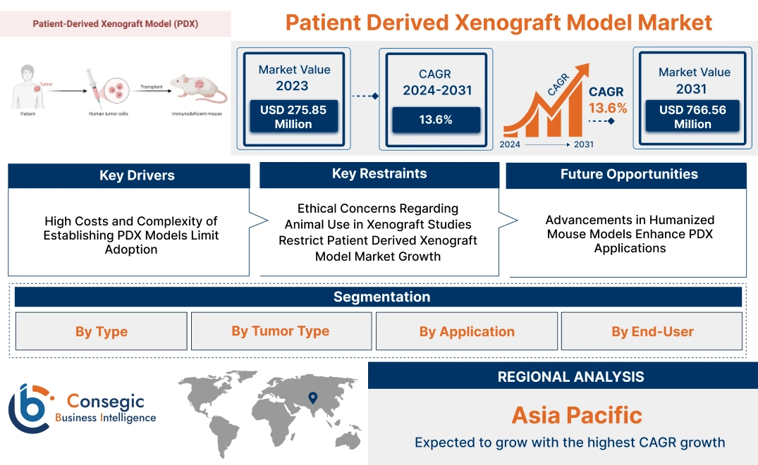 Patient Derived Xenograft Model Market