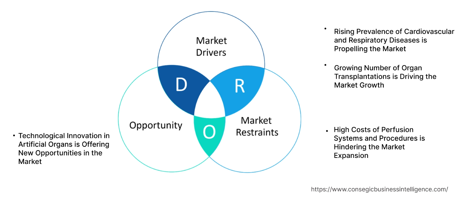 Perfusion Systems Market Dynamics