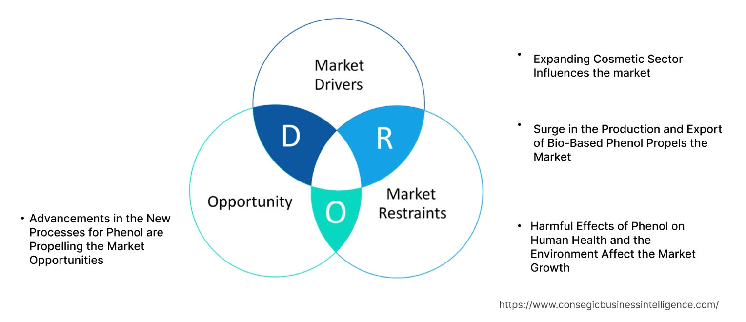 Phenol Market Dynamics