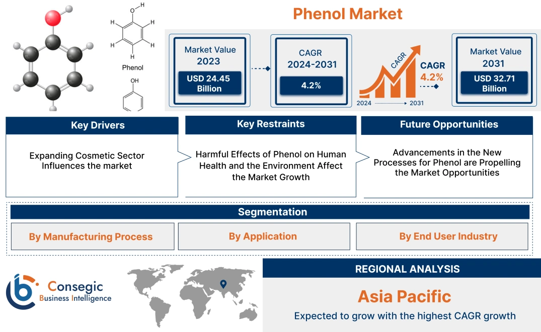 Phenol Market