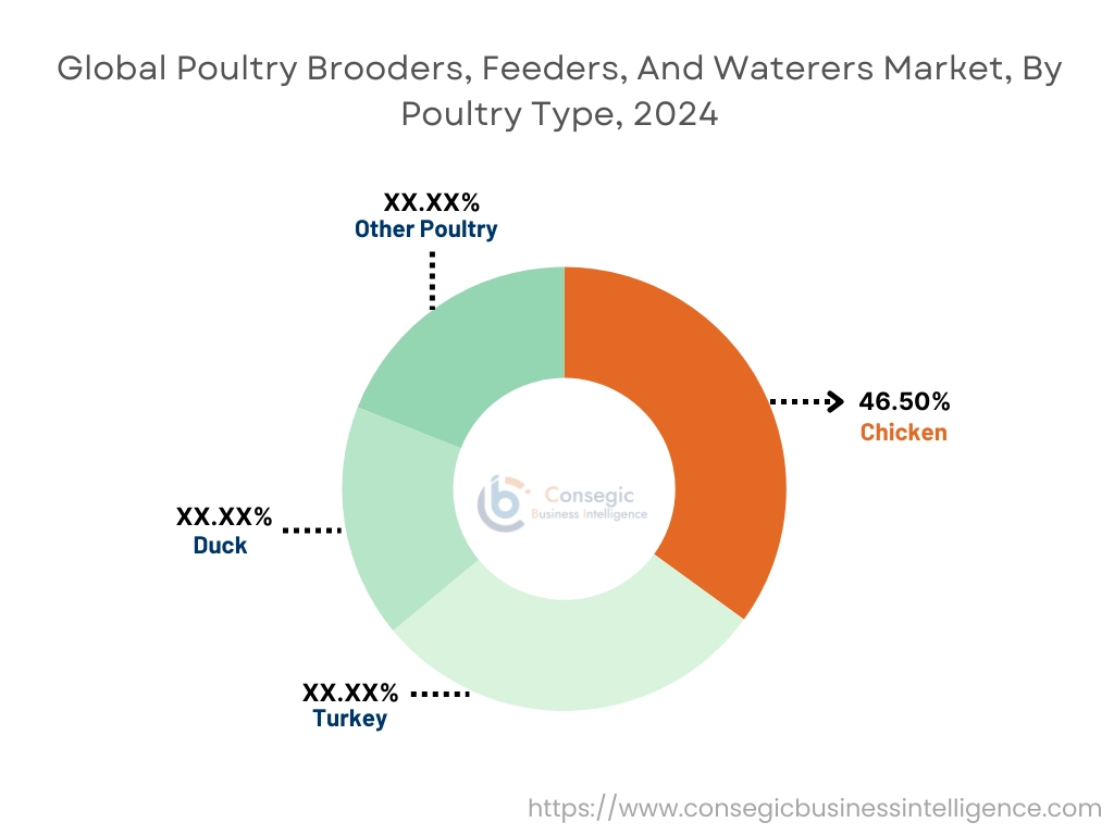 Poultry Brooders, Feeders, And Waterers Market By Poultry Type