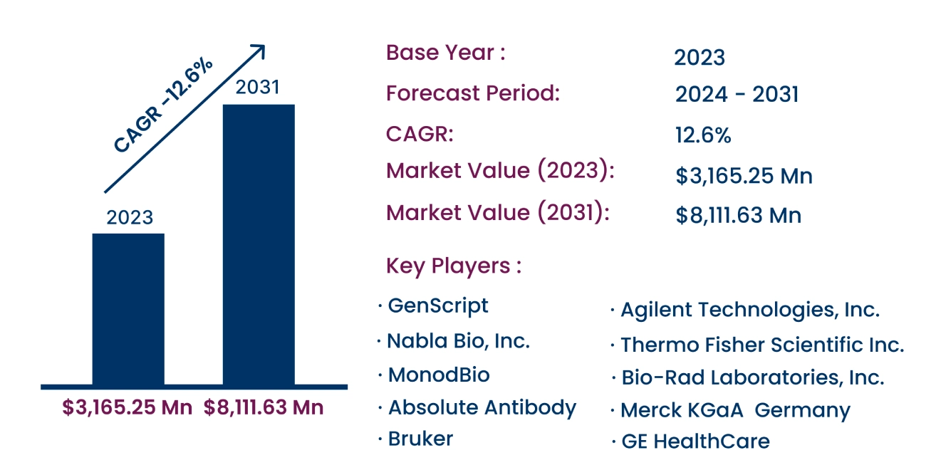 Global Protein Engineering Market