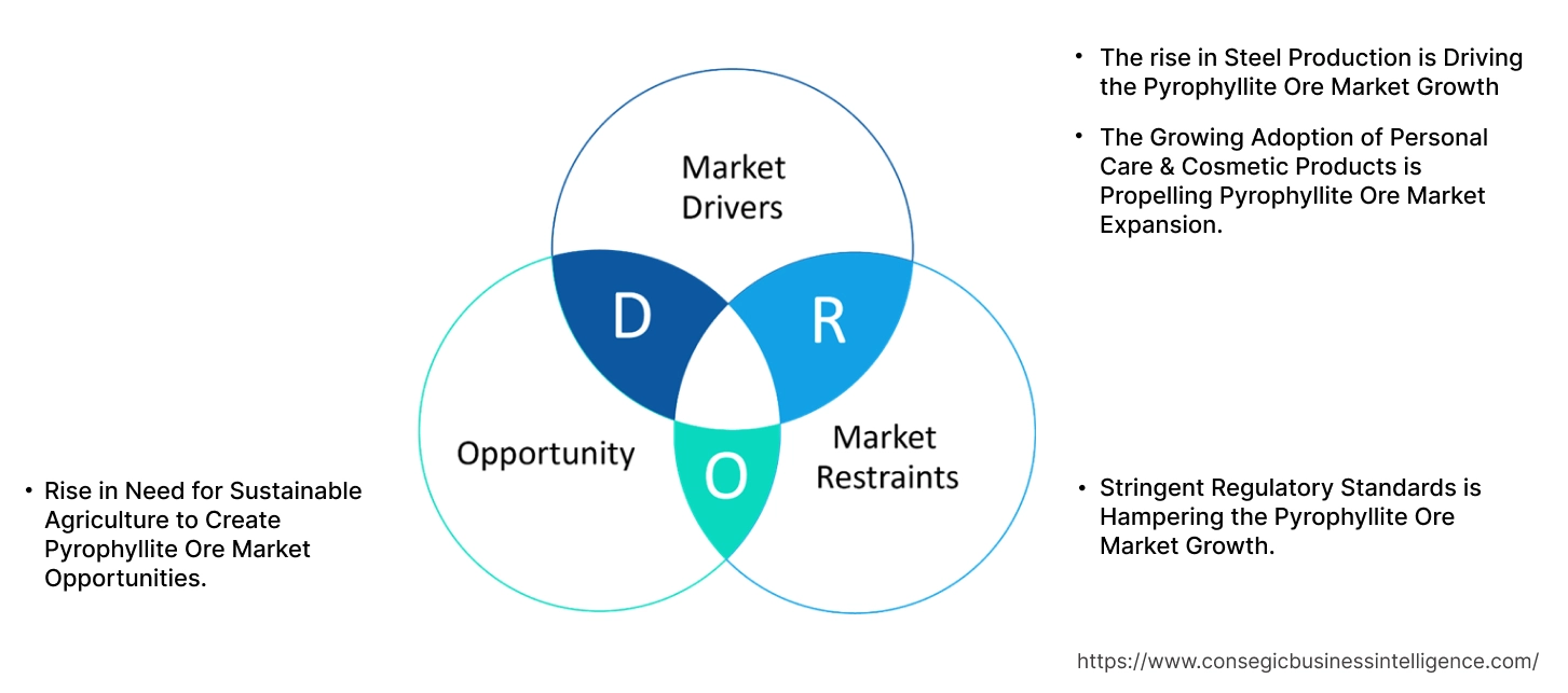 Pyrophyllite Ore Market Dynamics