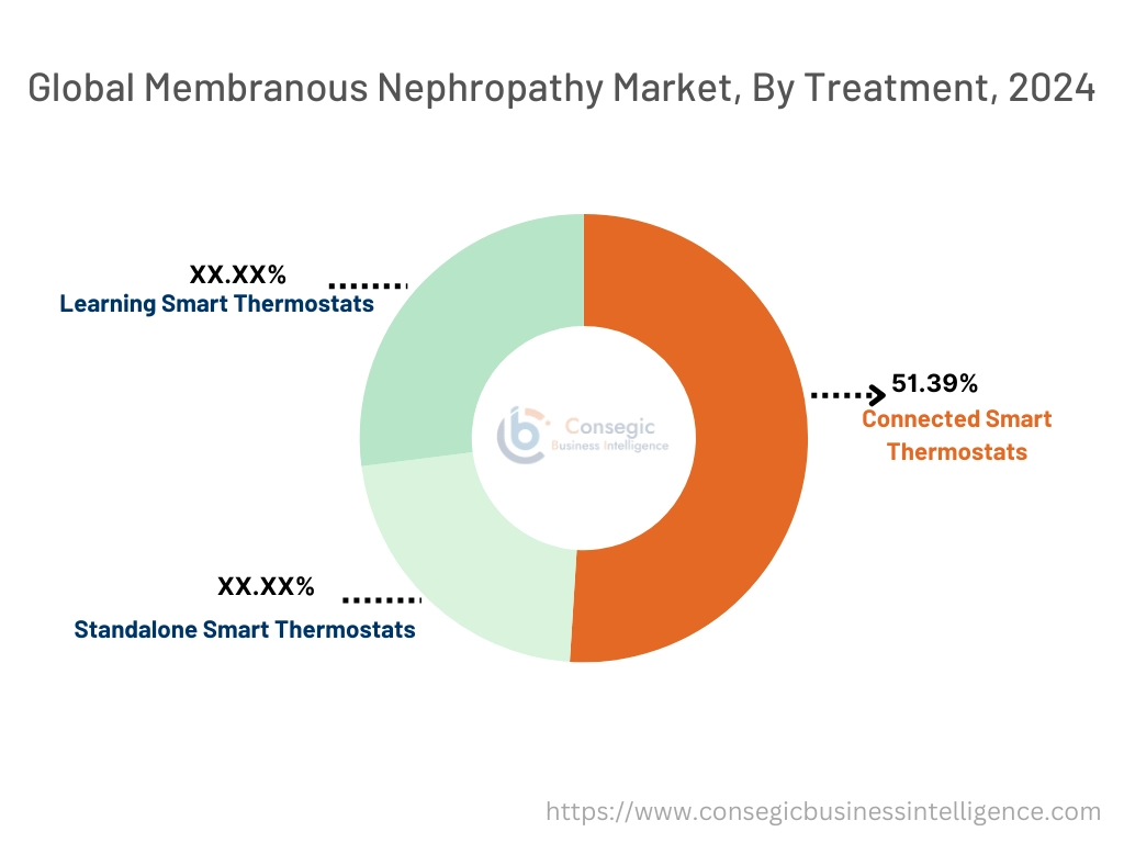 Smart Thermostat Market By Product