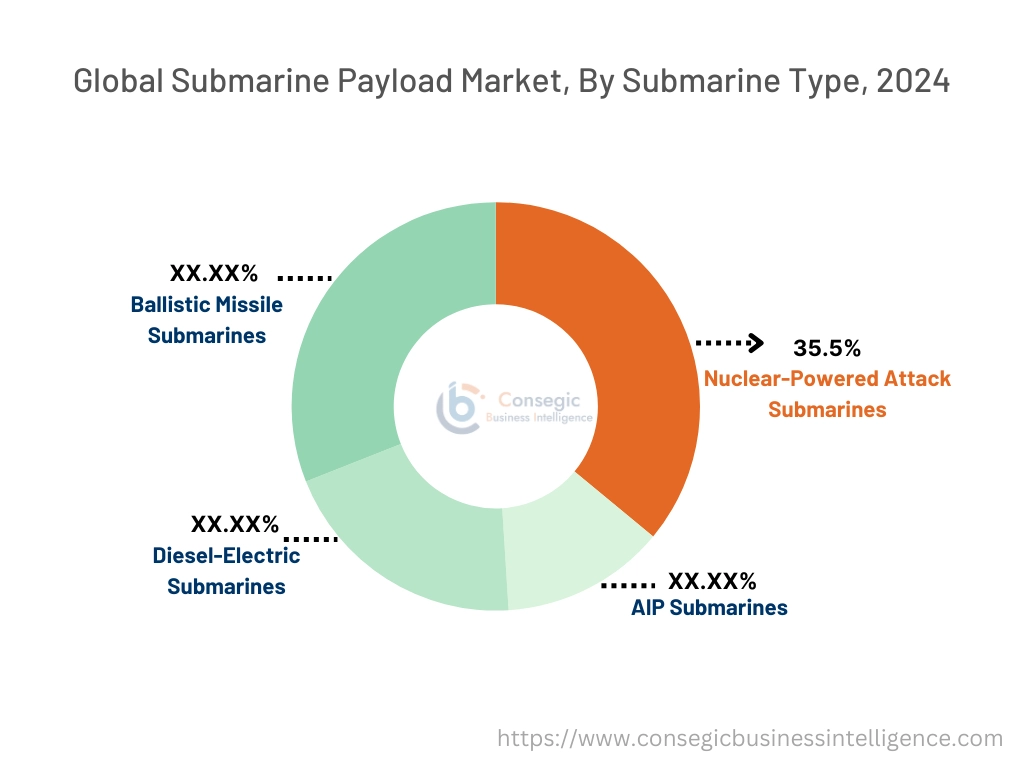 Submarine Payload Market By Submarine Type