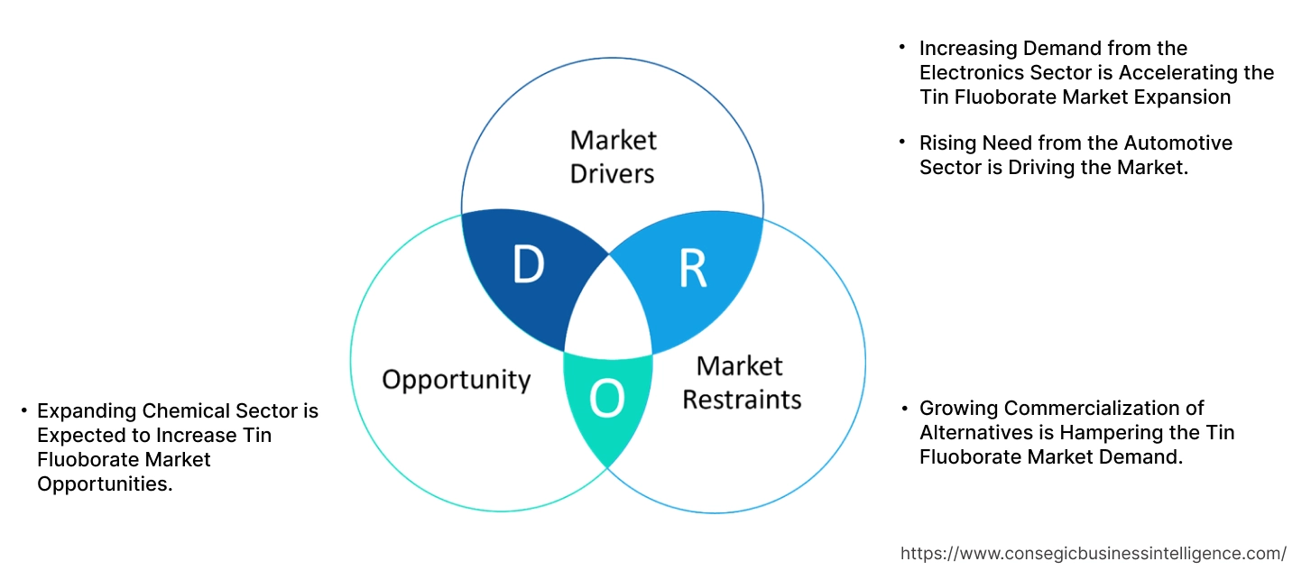 Tin Fluoborate Market Dynamics