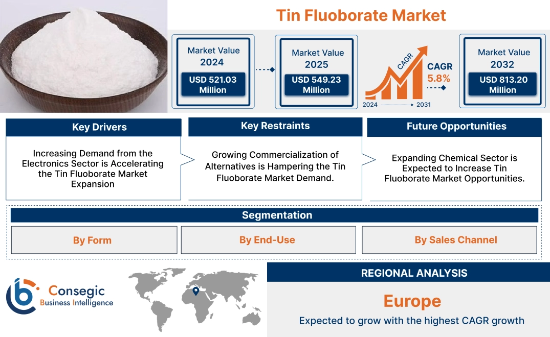 Tin Fluoborate Market