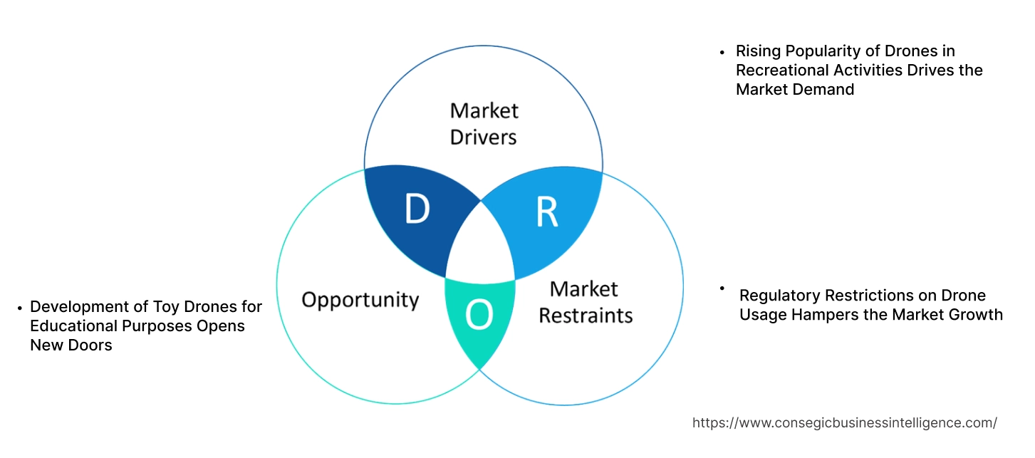 Toy Drones Market Dynamics