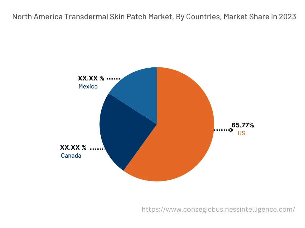 Transdermal Skin Patch Market By Country