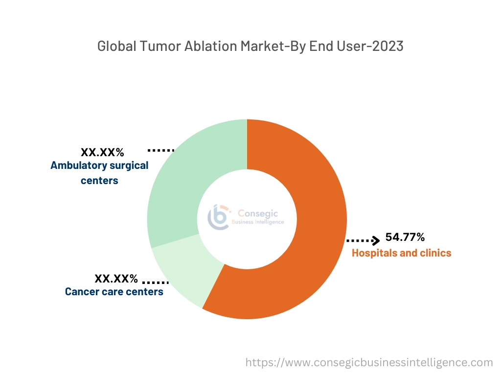 Tumor Ablation Market By End User