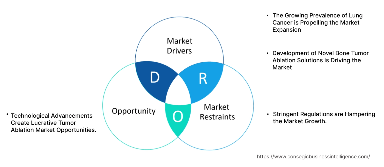 Tumor Ablation Market Dynamics