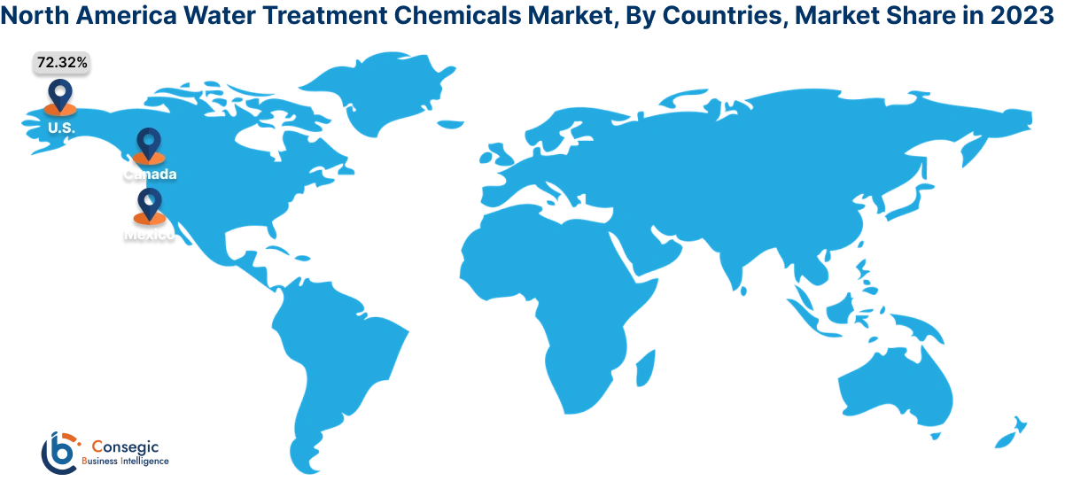 Water Treatment Chemicals Market By Country